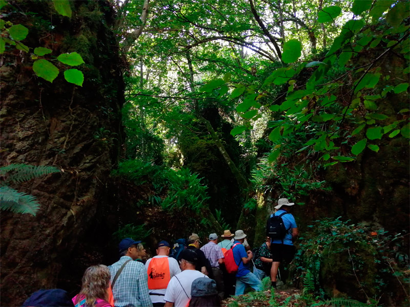 Visita mágico bosque de os Grobos