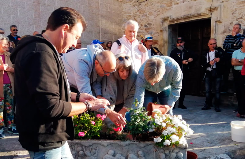 Plantando rosas peregrinas