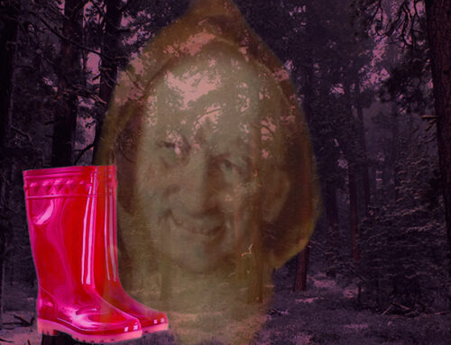 Una ilusión con botas