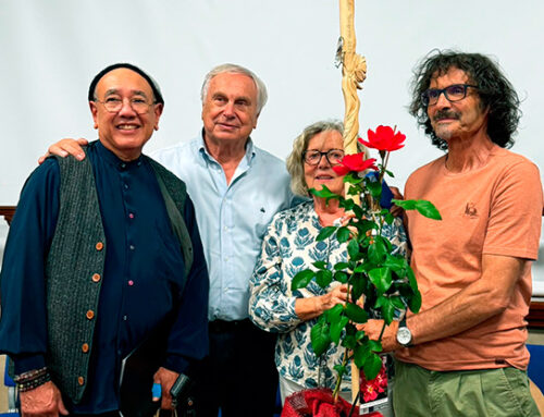 Un bastón del Peregrino para Matilde Ferrer